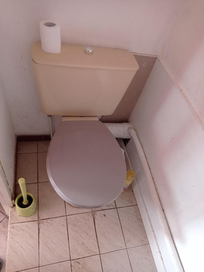 Chambre Meublee Independante, Avec Piscine Et Jardin, 1 Lit Pour 2 Personnes Direct Gare Aeroport Toulouse Eksteriør billede