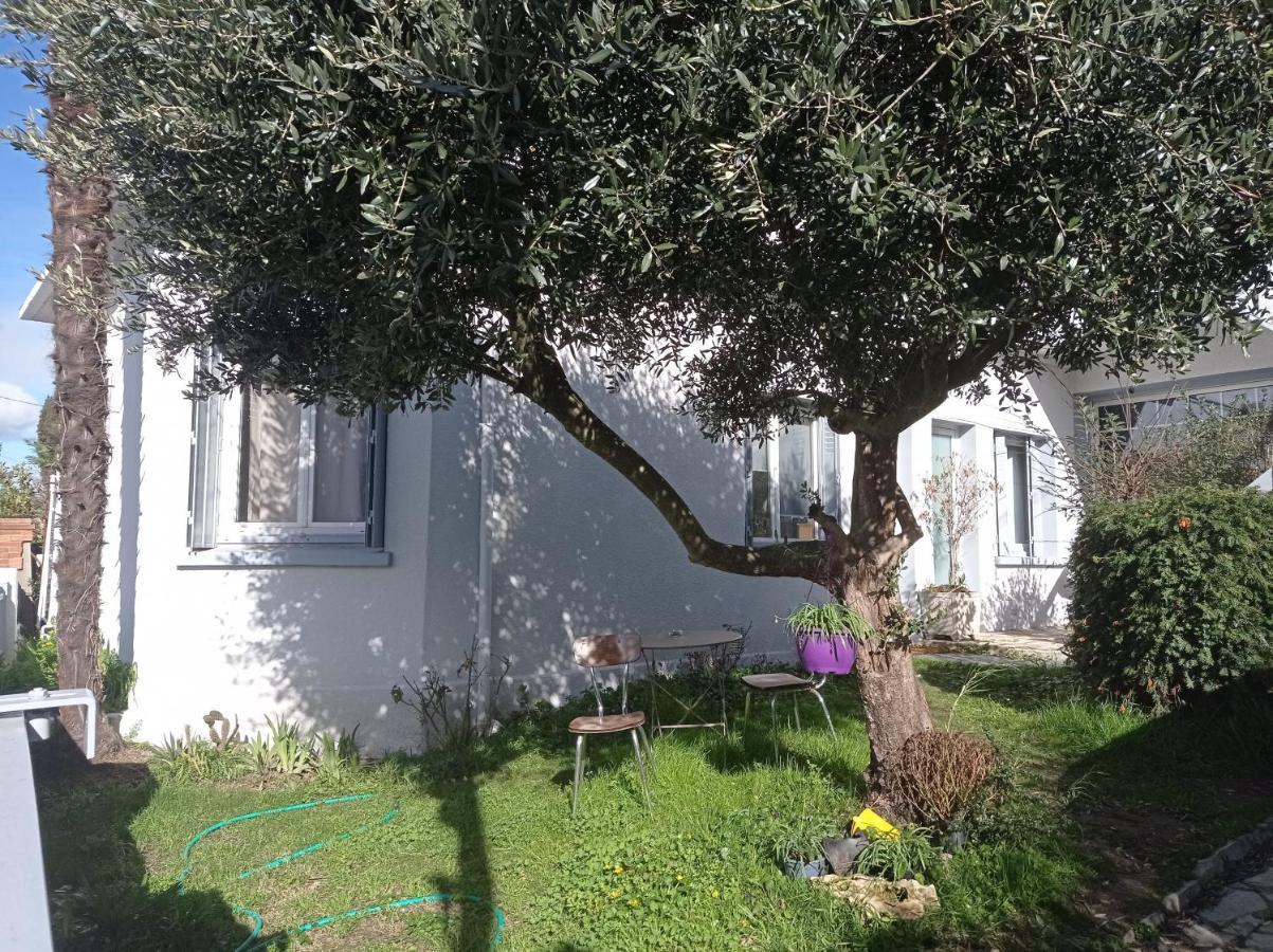 Chambre Meublee Independante, Avec Piscine Et Jardin, 1 Lit Pour 2 Personnes Direct Gare Aeroport Toulouse Eksteriør billede